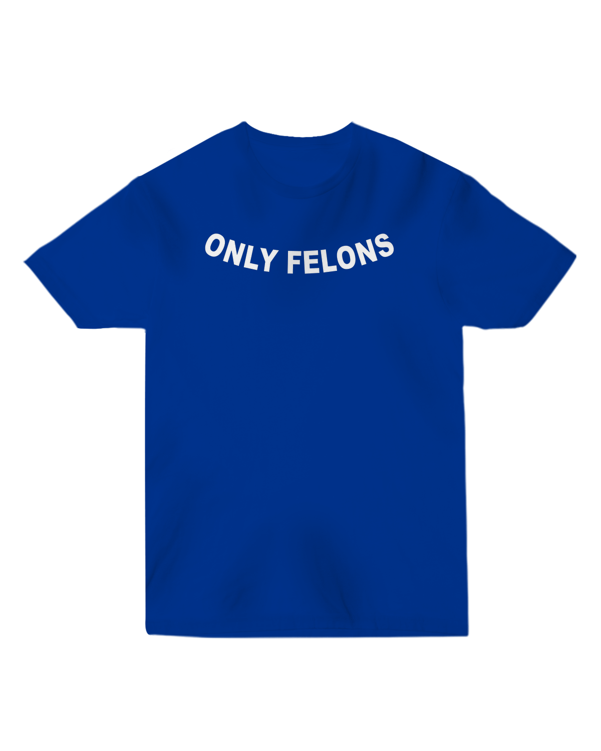 You Missed Unisex Fitted Tee - Royal - S